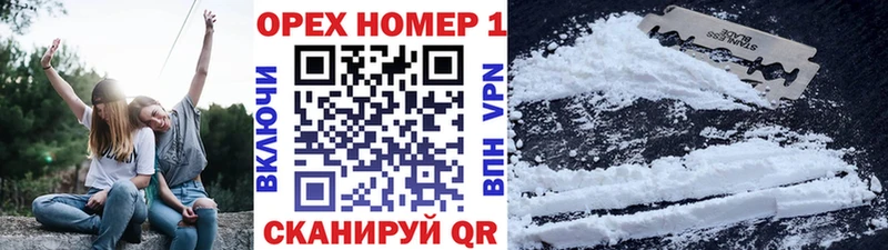 как найти наркотики  Енисейск  Cocaine Fish Scale 