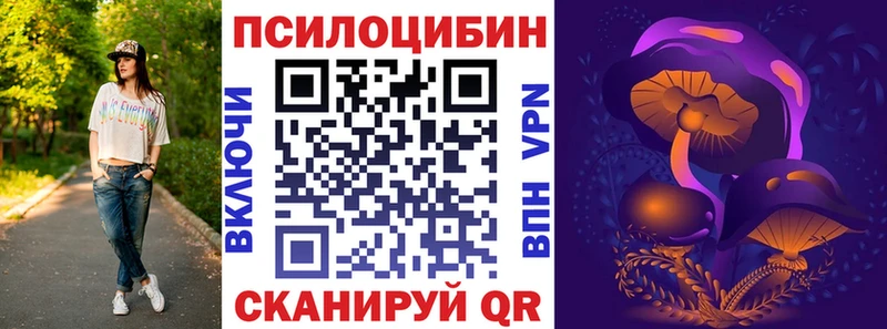 Псилоцибиновые грибы Psilocybe hydra как войти площадка формула Енисейск