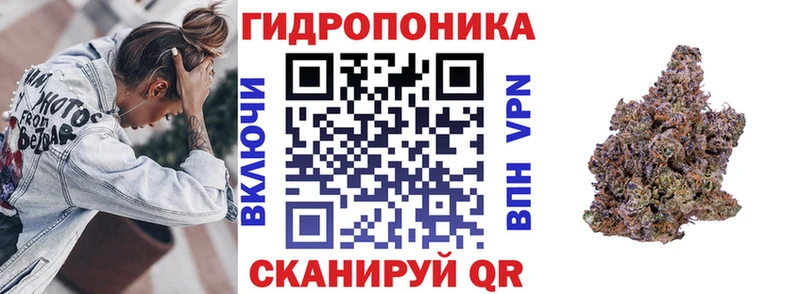 Бошки Шишки планчик Енисейск